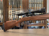 Stoeger RX20 S2 Wood with scope .177 STG2427389
