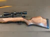 Gamo Riser .22 04-1C-873730-24