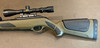 Gamo VARMINT SWARM BARRICADE .22 04-1C-017116-26