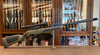Gamo VARMINT SWARM BARRICADE .22 04-1C-017116-26