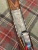 Caesar Guerini Avian 410 gauge 191777