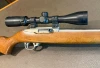 Ruger  .22 LR 248-48438