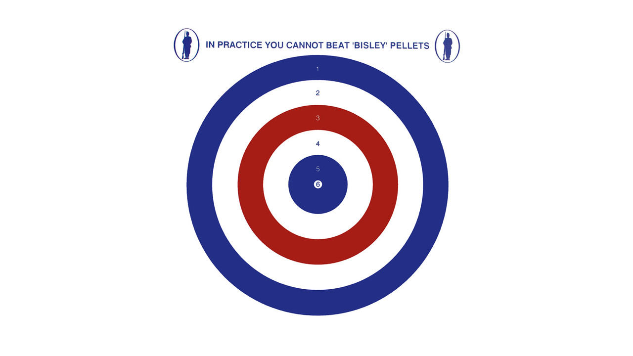 Bisley 17cm Coloured Target, Single Target, 100pc - Stephen and Son ...