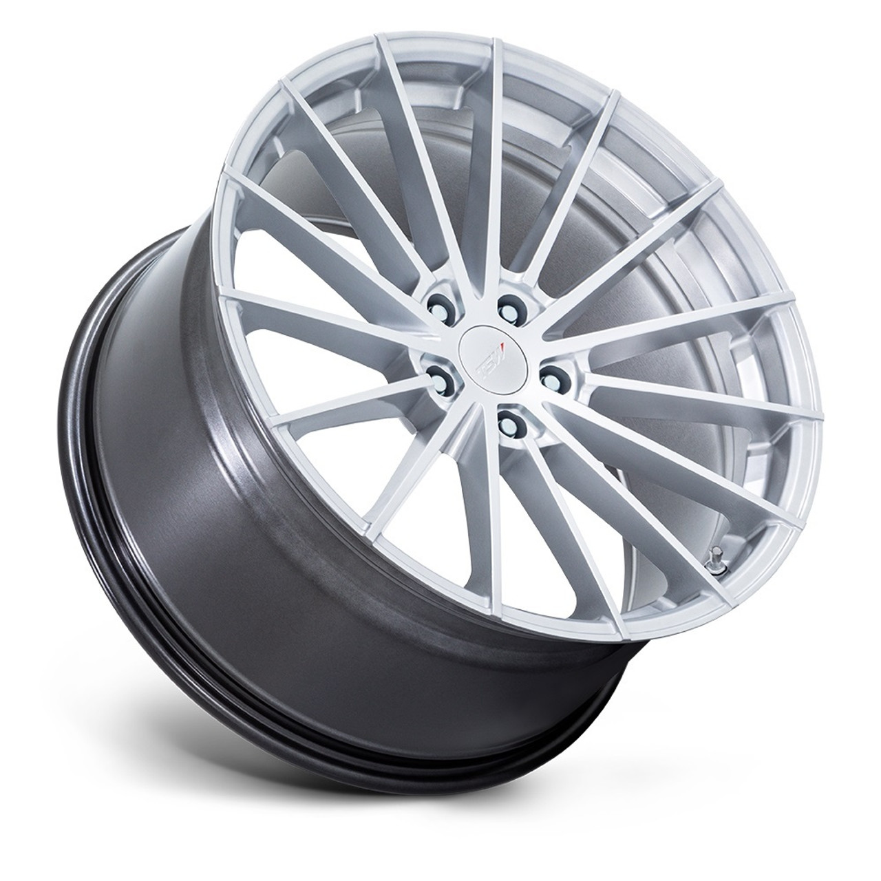 19" TSW TW005 Goodwood Hyper Silver 19x9.5 Wheel 5x4.5 40mm Truck Suv Rim