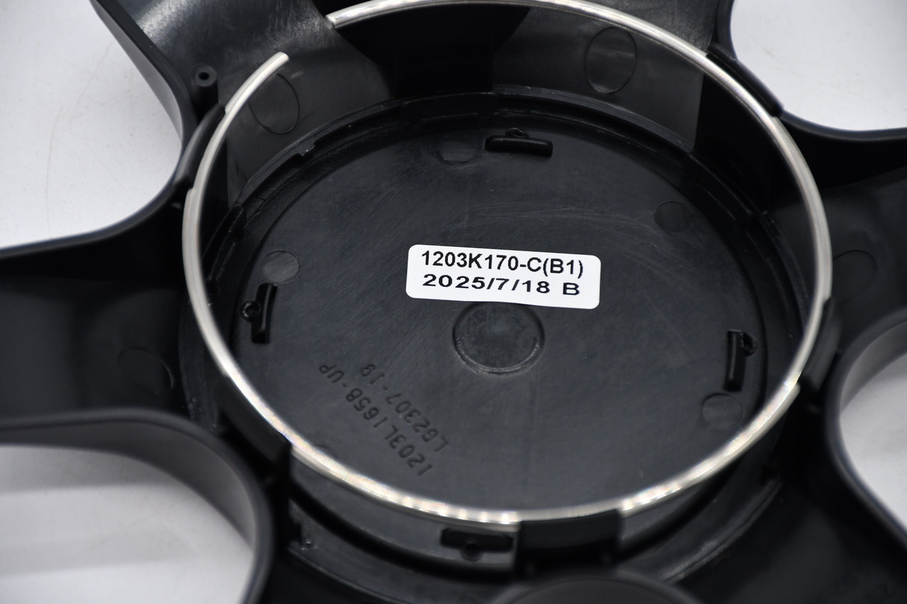 Hardcore Offroad 1203K170-C(B1) Wheel Center Cap Front View