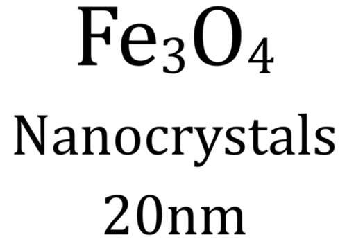 Fe3O4 Nanocrystals: 20 nm