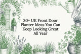 30+ UK Front Door Planter Ideas You Can Keep Looking Great All Year