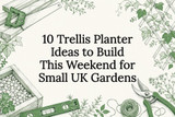 10 Trellis Planter Ideas to Build This Weekend for Small UK Gardens