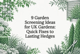 9 Garden Screening Ideas for UK Gardens: Quick Fixes to Lasting Hedges