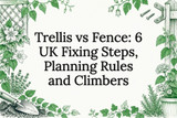 Trellis vs Fence: 6 UK Fixing Steps, Planning Rules and Climbers