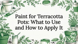 Paint for Terracotta Pots: What to Use and How to Apply It