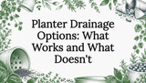 Planter Drainage Options: What Works and What Doesn't