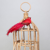 Red Princess Bird with clip Red Princess Bird with clip