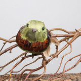 Green Bird with clip Green Bird with clip