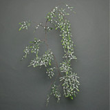 Frosted White Berry Mistletoe Garland (180cm) Frosted White Berry Mistletoe Garland (180cm)