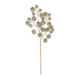 Gold Glitter Eucalpyus spray  Gold Glitter Eucalpyus spray