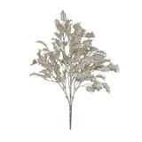 Champagne Glitter Holly Bush  Champagne Glitter Holly Bush