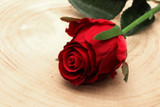 Small Rose Bud Red (24/480) Small Rose Bud Red (24/480)
