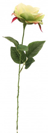 Rose Light Green  - Discontinued