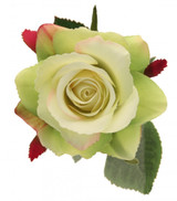Rose Light Green  - Discontinued