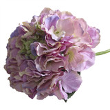Short Stem Hydrangea Pink  Short Stem Hydrangea Pink
