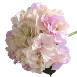 Short Stem Hydrangea Blush Pink Short Stem Hydrangea Blush Pink