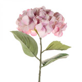  Single Large Pink Hydrangea (68cm)