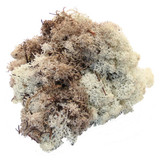 Natural Reindeer Moss 500g