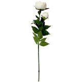 Peony White  Peony White