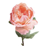 71cm Single Peony Peach 71cm Single Peony Peach