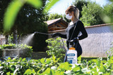 Hozelock Standard 5L Sprayer Hozelock Standard 5L Sprayer