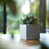 11.5cm Beton Cube 