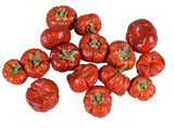 Dried Mini Pumpkins