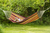 Brasilia Tropical Single Hammock 