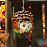 Autumnal Owl Decoration (10x10x16cm)