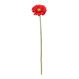 Red Gerbera Stem (72cm)