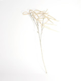 Champagne Willow Spray Champagne Willow Spray