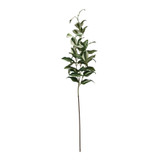 Tradaescantia Spray (74cm)