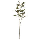 Nandina Spray (61cm) Nandina Spray (61cm)