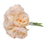 Aquitaine Peony Bunch Light Champagne 34cm (7 flowers bunch) Aquitaine Peony Bunch Light Champagne 34cm (7 flowers bunch)