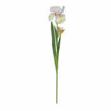 White Monet Iris (87cm)