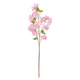 Essential Bright Pink Apple Tree Blossom 