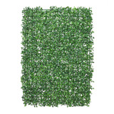 Essential Green Greenwall  Essential Green Greenwall
