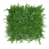 Exterior U.V Fern Leaf Green Wall Panel  Exterior U.V Fern Leaf Green Wall Panel