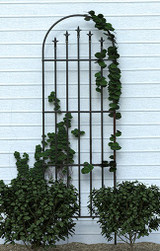 French Black Arched Trellis 