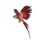 Pink and Gold Macaw (55cm)  Pink and Gold Macaw (55cm)