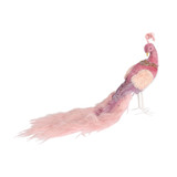 Dark Pink Velvet Peacock (35cm) 