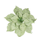 Green Frosted Poinsettia Pick (Dia30cm)