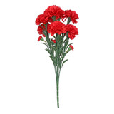 Essential Red Carnation Bunch Essential Red Carnation Bunch