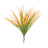 Orange Hardy Grass (30cm) 